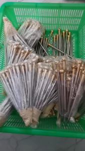 หลักหมุดนกเขาใหญ่ สแตนเลสหัวทองเหลือง1คู่ ยาว 6นิ้ว หลักมุดนดเขา