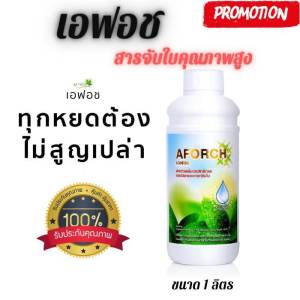 เอฟอช 1 ขวด Aforch สารจับใบ ชนิดเร่งดูดซึมไว