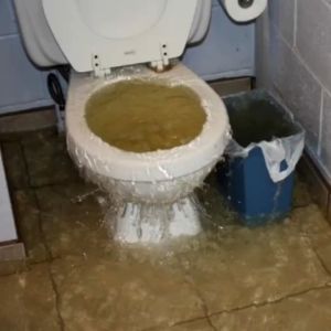 1 Liter Cairan Obat Penguras Wc Penuh Anti Mampet Obat Penghancur Septic Tank Anti Sumbat Spiteng Luber Penuh Tanpa Sedot Ampuh