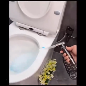 Wall Mounted Bidet Sprayer with Dual Nozzle and Coiled Hose Bathroom Bidet