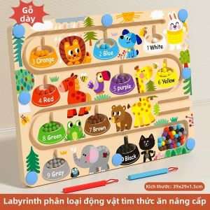 MWZ | Hạt Chuyền Ma Sát Trí Tuệ Giáo Dục
