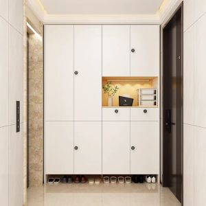 Elevator Door With Lock Shoe Storage Cabinet