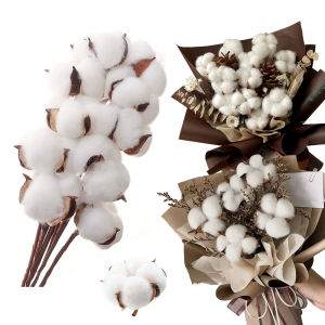 10PCS Artificial Kapok Natural Dried Flowers Simulation Cotton Wedding Room Easter Decoration Supplies DIY Wreath Bouquet