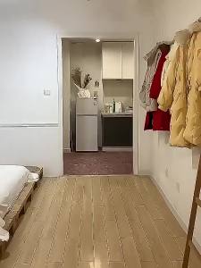 Wall-mounted Full Length Mirror