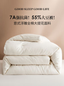 Italian Embroidered 55% Soy Fiber Quilt Spring Autumn Winter Thickened Pure Cotton Core Mother-Child Quilt Four Seasons Universal