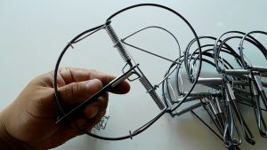 ดักหนู โมดีฟาย 6 นิ้ว กับเหล็ก กับวงเดือน ที่ดักหนู 1มัด10ชิ้น กับดักหนู (มีฟัน)