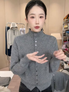 Gray High-Neck Knitted Sweater 2025 New Style Womens Innerwear Outerwear Spring Autumn Winter Seasonal Long Sleeve Warmth Emitting