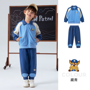 Autumn Winter Kids Sports Clothes Set Casual Boys Outfit Cotton Polyester Blend Baby Boys Clothing Set PAW PATROL Brand