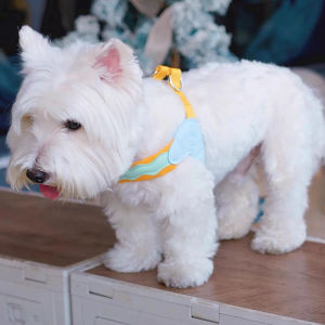 Lovinland Pet Fashion Dog Saddle Harness for Small Medium Dogs High Quality Dog Leash and Harness Set Pet Walking Harnesses Maltese Shih Tzu Puppy