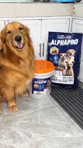 1kg NutriChunks Alpha Pro All Stages Regular Bites Small Bites Puppy Bites Dogs Dry Food Adult Puppy