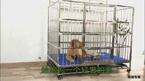Petorldog Stainless Steel Dog Cage Large Dog Cage Double Door With Four Wheeled Toilet Household Large Dog Cage