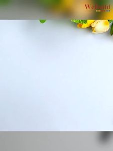 【儿童凹槽控笔训练】 全套5册 天天练铅笔描红本练习册 加减法画画拼音字母数字笔画汉字 Children Kindergarten Chinese character number math art Workbook Buku LatihanWeBuild