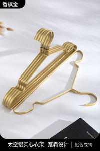 Space Aluminum Clothes Hanger Home Use Anti-Slip Traceless Solid Aluminum Clothes Hanger Heavy Duty Metal Luxury Rack