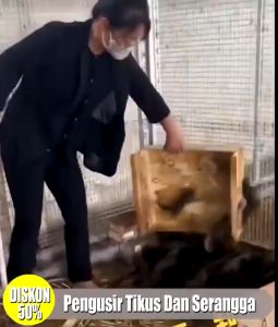 Alat Pengusir Nyamuk Ultrasonic Pest Control Reject Anti Hama Pembasmi Kecoa Tikus Lalat Elektrik Praktis