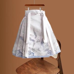 YIGUJIE | New Style Slimming Versatile Hanfu Design Mian Skirt