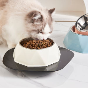 Stainless Steel Cat Dog Bowls Anti-Slip Flip Proof Pet Food Bowl Teddy Dog Food Basin Pet Feeding Utensils