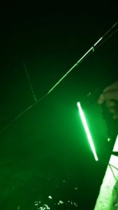 LED แสงเขียว ม่วง แดง ชมพู ขาว 12V และ 220V สปอตไลท์ กันน้ำ ไฟล่อแมลง ไฟตกหมึก ไฟล่อปลาทะเล ไฟปลูกต้น ไม้