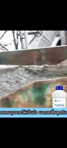 ซื้อ 1 แถม 1 เจลกันยุง จุลินทรีย์ดับกลิ่น 1 ขวด ท่อระบายน้ำ 365 วัน ปลอดกลิ่นและแมลง จุลินทรีย์ ส้วม ขับไล่กลิ่น ฆ่าจุลินทรีย์ แมลง ผงดับกลิ่นส้วม ผงละลายท่อตัน ฆ่า 100% จากราก จุลินทรีย์ ใส่ส้วม