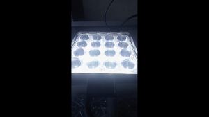 LAMPU KABUT FOG LAMP 16 LED BEADS TERANG DAYMAKER FOCUS 12V 24V MOBIL TRUK UNIVERSAL