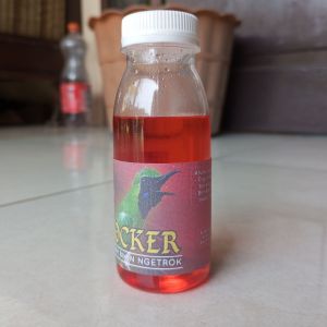 rocker penggacor burung cucak ijo pleci trucukan cucak combo dijamin langsung gacor