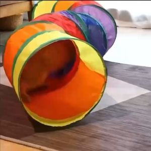 Cat Tunnel Foldable Toy Cat Tunnel Toy Pet Interactive Toys Cat Toys