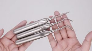 1pcDental Stainless Steel Apical Elevator Right Left Straight Tooth Extracting Forceps Root Tips Lift Gum Separator Dentist Tool
