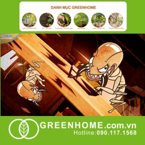 Thuốc Diệt Mối Tận Gốc Termize 200SC Chai 50ml Sinh Học Thế Hệ Mới An Toàn Không Mùi Diệt Cả Đàn