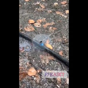 หัวน้ําหยด สปริงเกอร์หัวสีฟ้า ละอองน้ํารอบทิศทาง และปรับความแรงน้ําได้