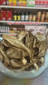 Ngưu Bàng Khô Nhật Bản 500g (Nguyên chất không tẩy an toàn cho sức khỏe date mới)