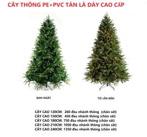 Cây thông xanh Lá PE C22 Cao Cấp tán lá dày rộng TTNTSS080