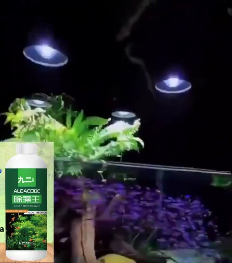 ฟิชแคร์ กำจัดตะไคร่ กำจัดสาหร่ายในตู้ปลา กำจัดตะไคร่น้ำในตู้ปลา กำจัดสาหร่าย กำจัดน้ำสีเขียว ทำความสะอาดบ่อปลา