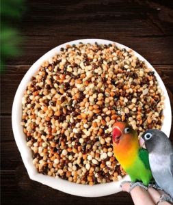 Bird Food. 1kg/2kg/3kg/5kg Mix Millet for parrot. Mix seeds. Essential Bird Food