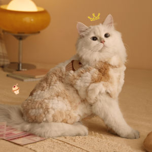 HOOPET | Anti-Shedding Warm Thickened Winter Cat Clothes