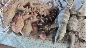 (ตัวใหญ่ 1 ตัว) ยาว 80 c.m. งูยักษ์ งูปลอม งูยาง งู ตุ๊กตายาง งูเห่า ยักษ์ ของเล่น อุปกรณ์ตกแต่ง ฮาโลวีน ของเล่น สัตว์ big snake doll halloween m24