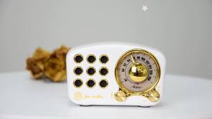 Retro Bluetooth Speaker FM Vintage Radio with Loud Volume Strong Bass Enhancement Bluetooth 5.0 Wireless Connection TF Card & MP3 Player