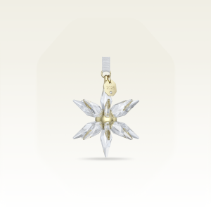 Swarovski | Annual Edition Star Decoration