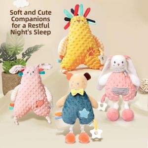 HUAYASEN | Soothing Comfort Blanket for Infant Sleep