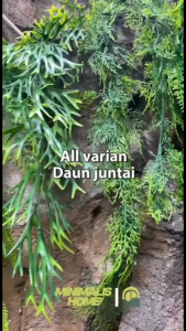 Daun Juntai Pakis Yugali Bambu Putih Salju Snowy Rambat Plastik Artificial Minimalis Home