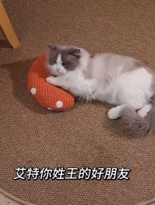 AP AIMAYAPET Pet Dog Cat Pillow Soft Plush U-shaped Neck Protection Cute Sleeping Pillow for Pets Pet Supplies