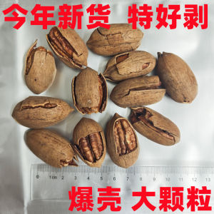 Salted Butter Flavored Hand Picked Pecans Snack Longevity Tree Nuts Special Dry Fruits Gift Snacks Healthy Snacks Unshelled