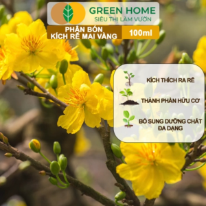 Mua 5 tặng 1 - Phân Bón Kích Rễ Mai Vàng GreenHome Hũ 100ml Ra Rễ Cực Mạnh Dùng Giâm Chiết Cành Chuyên Hoa Mai