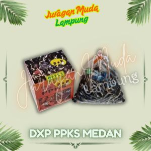 benih bibit kecambah polong sawit PPKS varietas DXP 239 isi 250 butir benih TERLARIS