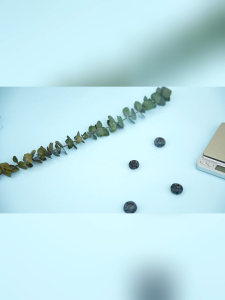 SOGO Mini Digital Food Weighing Scale: Precision in Your Kitchen