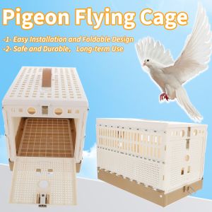 Pigeon Cage Bird Transportation Homing Fold Training Folding Poultry Multi-function Travel