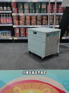 HEXA NEXUS Extra Large 75L GREEN & GREY Shopping Cart Trolley Climber Foldable Trolley Storage Market Trolley + Cover Troli Pasar 折叠购物