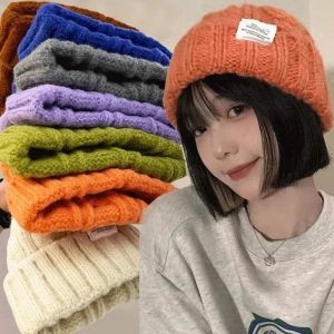 🔥Wholesale Price🔥Autumn Winter Knitted Beanies for Women Girls Twist Stripe Woolen Hat Korean Solid Bonnet Warm Thick Ear Protection Pullover Cap