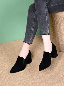 Fall Winter Deep Mouth Single Shoes Womens 2025 New Frosted Leather Pointed Toe High Heel Thick Heel Comfortable Professional Work Shoes