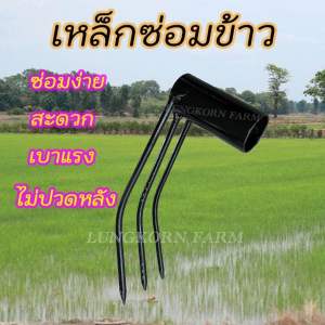 เหล็กซ่อมข้าว เหล็กย้ายข้าว ซ่อมข้าวที่ไม่ขึ้นข้าวออกรวงสม่ำเสมอ ขนาด 1 นิ้ว