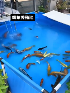 Kolam Kanvas Ikan Heavy Duty Canvas Fish Pond Fish Tank Nylon Canvas Pool Aquarium  Canvas Pond For Shrimp Fish