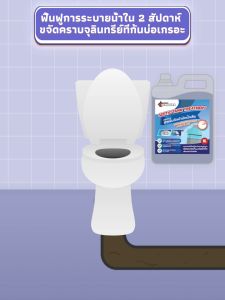 SENDORAกำจัดกลิ่นเหม็น ย่อยสลายกากของเสีย EM กลิ่นเหม็นในห้องน้ำ ส้วมเต็ม น้ำไม่ไหล ห้องน้ำเหม็น ส้วมตัน แบคทีเรียส้วมถังบำบัดน้ำเสีย จุลินทรีย์ ส้วม น้ำยาล้างท่อ